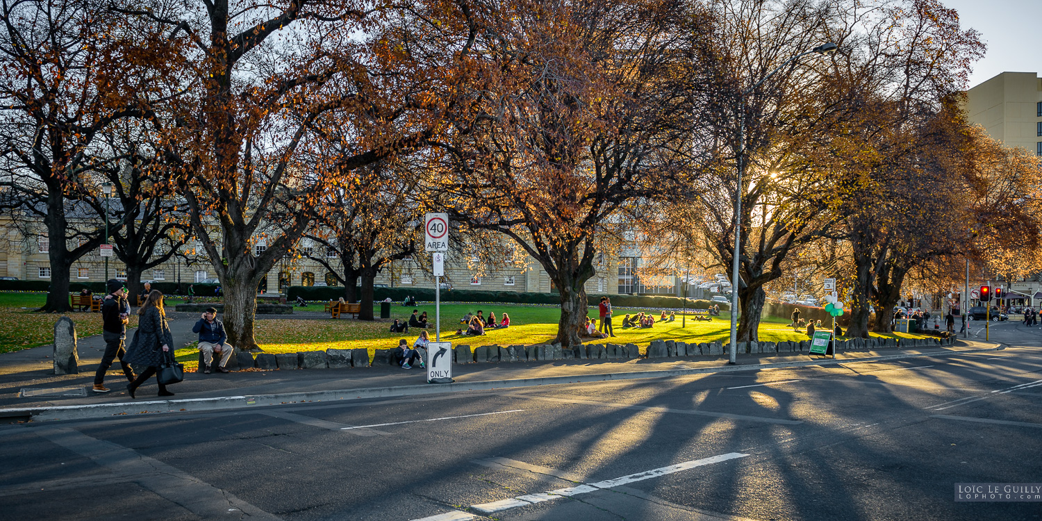 photograph of Autumn afternoon at Parliament Square